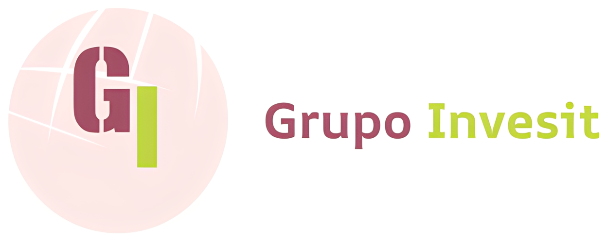 Invesit Data Consultant